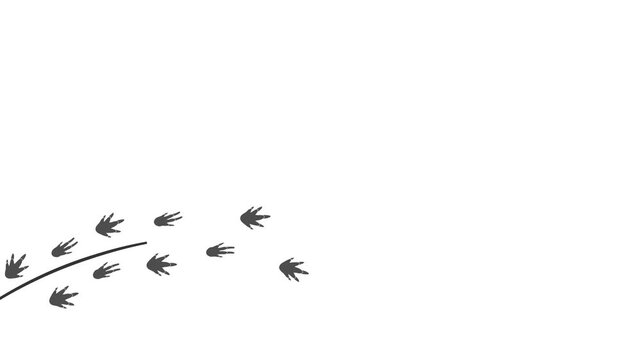 Animation of the gray silhouette of the footprints of a Armadillo.  Trajectories that follow the path of movement. Animation of Armadillo paw prints and tail  Animated Video