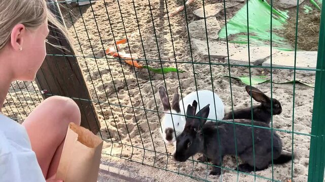 Teenager enjoying time with rabbits at a children's petting zoo. Feeding friendly farm animals during a sunny day, highlighting compassion, nature and family entertainment.