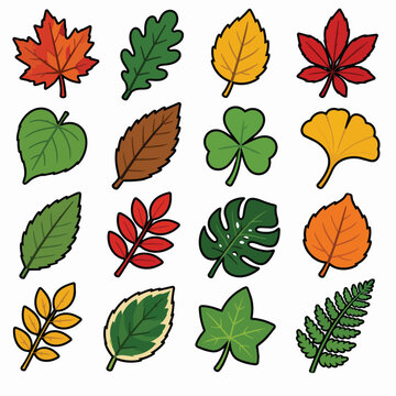 Set of Colorful Vector Leaf Icons for Autumn and Summer Design