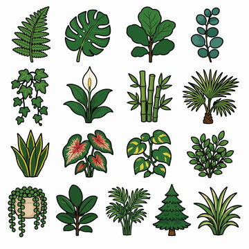 Houseplant and Tropical Foliage Vector Icon Set