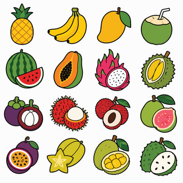 Exotic Tropical Fruit Vector Icons Set Illustration