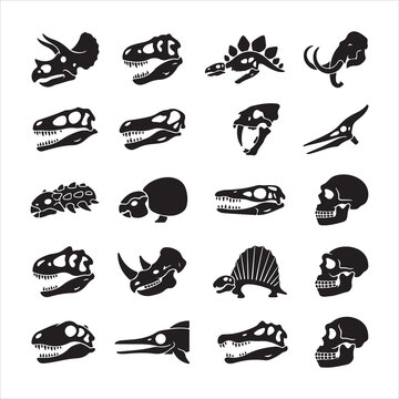 Prehistoric dinosaur skulls and fossil heads graphic icon set with dinosaur prehistoric paleontology skeleton creature illustration silhouette isolated collection archaeology evolution
