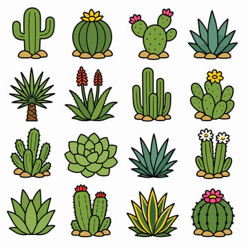 Vector Set of 16 Cactus and Succulent Icons with Flowers