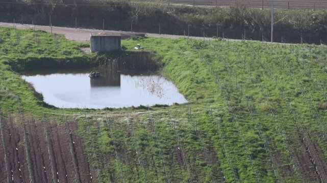 Agricultural pond surrounded by crop fields in rural portugal