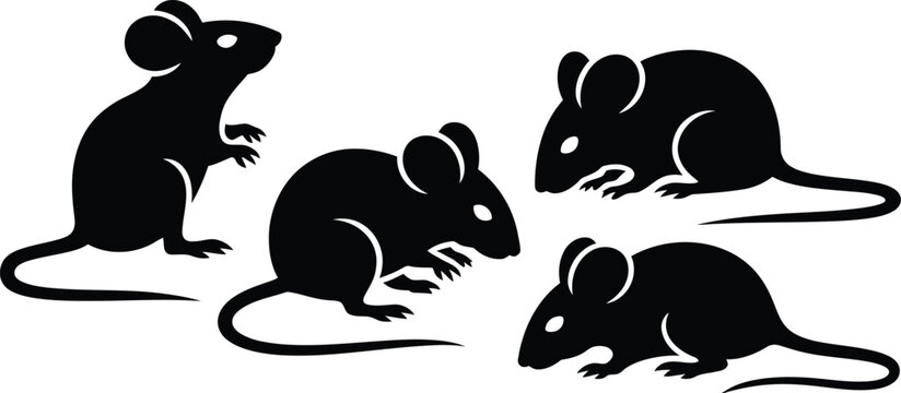 A collection of four small mice depicted as black silhouettes isolated on a white background