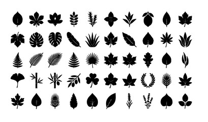 Obraz premium Leaf Silhouette Icon Vector Set with Maple, Palm, Fern and Wreath Shapes Black Botanical Illustration Collection