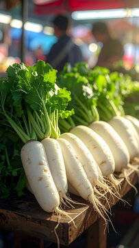 Fresh Radishes at Market.