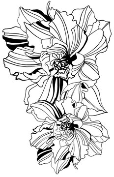 Ilustraci&oacute;n bot&aacute;nica de lirios en blanco y negro dibujados a mano con delicados detalles lineales, composici&oacute;n floral elegante de estilo contempor&aacute;neo ideal para dise&ntilde;o textil, papeler&iacute;a y dise&ntilde;o de s