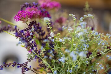 Wildflower Bouquet with Snail © Andy