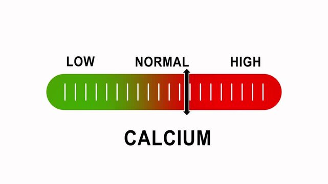 Calcium level indicator gauge animation: low, normal, and mineral monitoring scale for medical and nutritional health analysis