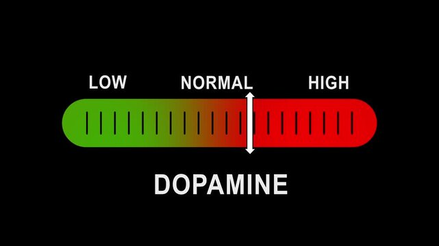 Dopamine level indicator gauge animation: measuring neurotransmitter levels from low to hormone brain chemistry