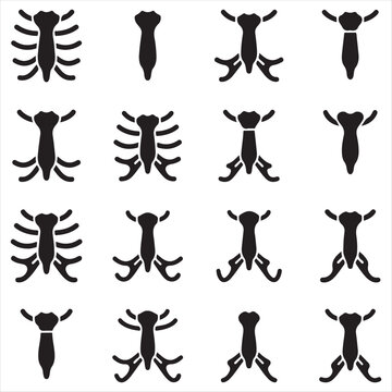Human sternum and rib anatomy icon set featuring skeletal structure icons skeleton thoracic healthcare orthopedic anatomical structure medicine scientific graphics silhouette illustration