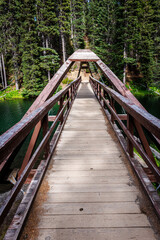 Obraz premium Wooden footbridge leading into evergreen forest at Lightning Lakes in Manning Park