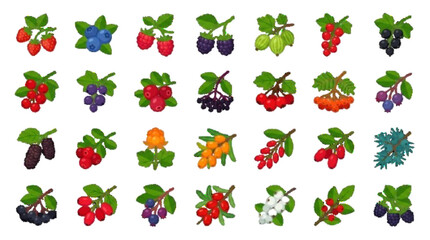 berry branch vector icon set 25 , white background    © Natasa Akter 