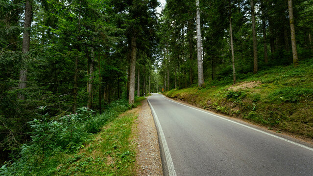 abgelegene Strasse durch den Schwarzwald in Deutschland 