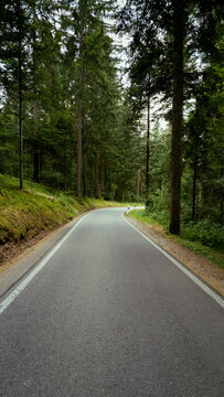 gerade Strasse die nach rechts f&uuml;hrt im Schwarzwald - Deutschland
