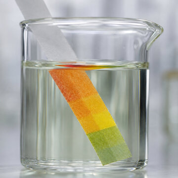 Authentic pH Indicator Test Strip in Laboratory Beaker Macro Close Up.