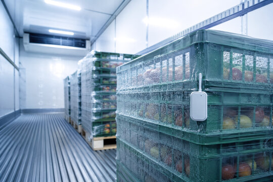 Refrigerated trailer interior with temperature monitor and palletized produce