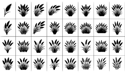 Ornamental Pink Muhly Grass Illustration Collection with Botanical Garden and Landscape Plant Elements © zarina