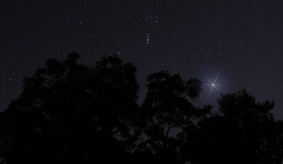 Fototapeta premium Christmas star rising above silhouetted trees on a calm night