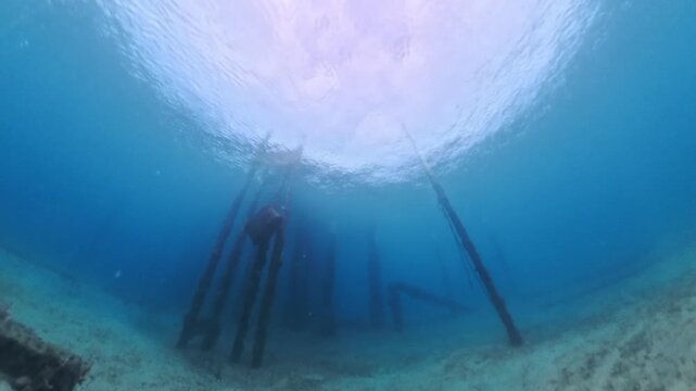 Marine Exploration: Underwater View of Submerged Jetty Pillars and Pilings at Blue Heron Bridge in Riviera Beach, Florida in 4K