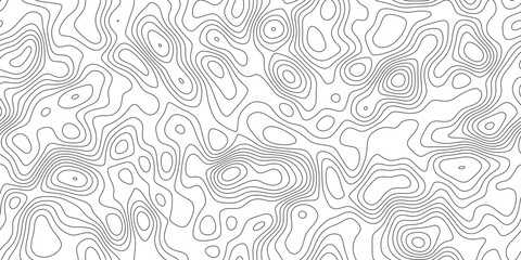 Elegant topography line pattern background, abstract geographic mapping lines with smooth organic curves, for card, label and packaging design. © Artova LaLa