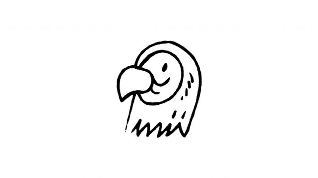 Hand drawn 4K Macaw parrot head doodle animation with boiling line motion. Frame by frame outline on black and green screen backgrounds, perfect for tropical bird, avian exotic pet, and wildlife.