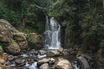 Obraz premium Beautiful Cipamingkis Waterfall surrounded by lush tropical forest in Bogor, West Java, Indonesia, ideal for travel, nature, and ecotourism concepts