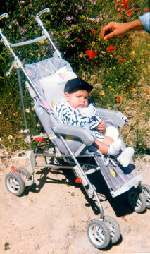 Baby sitting in stroller outdoors exploring nature