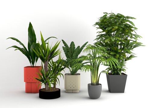 Realistic collection of various potted trees isolated on a white background, ideal for interior design, home decor, office spaces, landscaping, architectural visualization, and botanical projects.