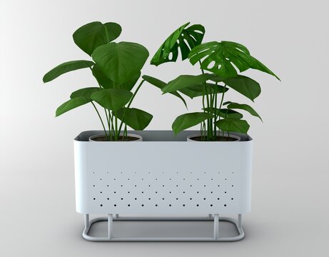Realistic potted flowering plant isolated on a white background, ideal for interior design, home decor, gardening, botanical projects, and landscaping presentations.