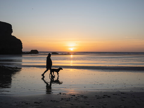 Person walking dog on beach at sunset