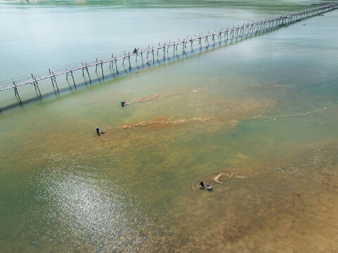 Ong Cop wooden bridge over shallow lagoon, Vietnam