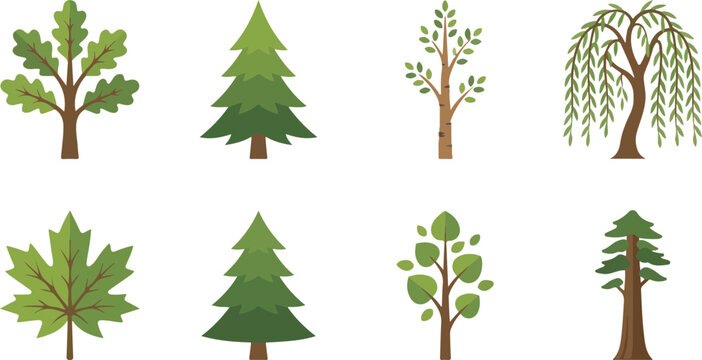 Tree vector illustration set featuring oak, pine, birch, willow, and other nature species in flat design style