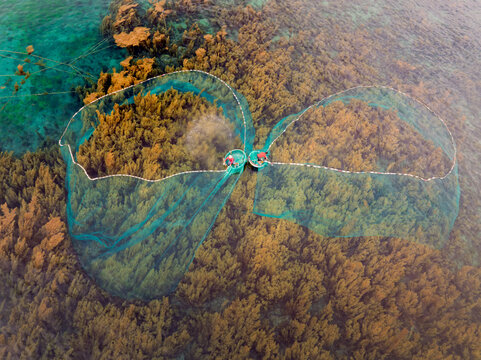 Fishing nets over seaweed beds in Nhon Hai, Quy Nhon