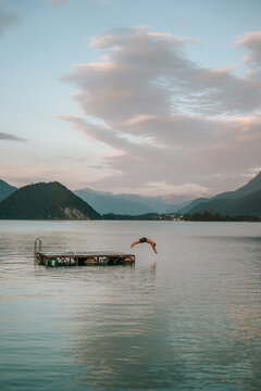 Teenager diving from a floating dock into still water