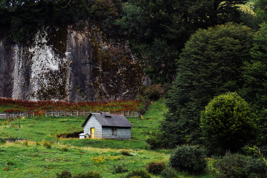 Abandoned Rural Homestead