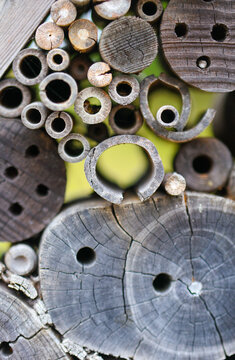 Bee hotel