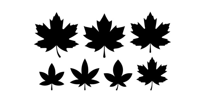 Set of various autumn maple leaves black silhouettes isolated on white vector., Two black maple leaf silhouettes as a simple graphic design element for autumn and nature themes, Set of eight black sil