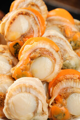 Freshly Shucked Qingdao Scallops with Colorful Shells - Premium Seafood Meat © DangThi