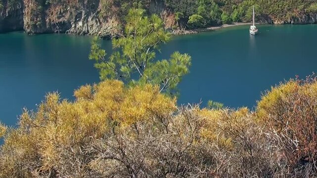 A breathtaking view of Oludeniz Bay Turkey where an elegant sailboat rests on serene azure waters. Golden autumn foliage lines the rugged shore under a brilliant sky.