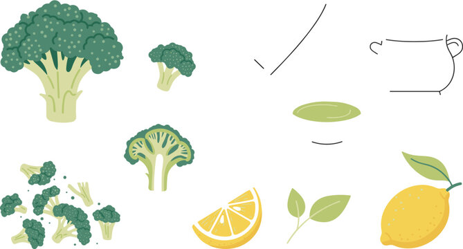 Fresh broccoli cooking vector element set featuring green florets, fresh lemon slice, mint leaves, and outline kitchenware isolated on white.