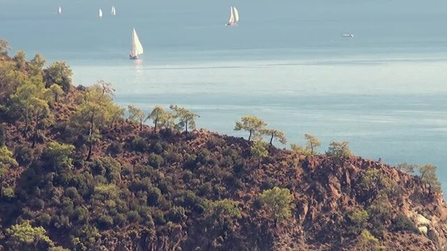 Sailboats gracefully traverse the calm, turquoise waters of Oludeniz Bay in Turkey. Lush green hills provide a stunning backdrop, creating a peaceful and picturesque Mediterranean vista.