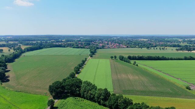 Crop plantation at farm. Agriculture and cultivation. Aerial top view on green crop field. Nature environment. Green harvest in field. Summer green field. Agricultural aerial landscape