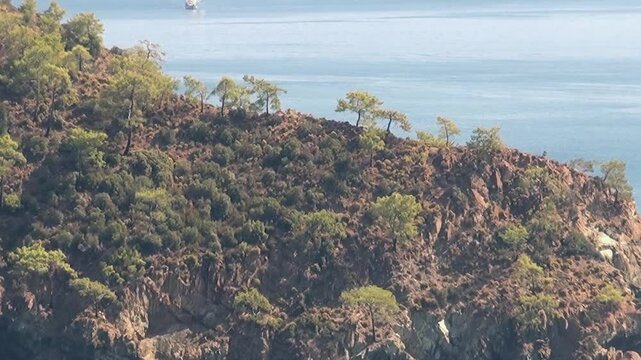 Sun-kissed Oludeniz Bay, Turkey, reveals its pristine allure. Verdant trees crown a rocky hillside, descending softly to meet the tranquil, azure waters.