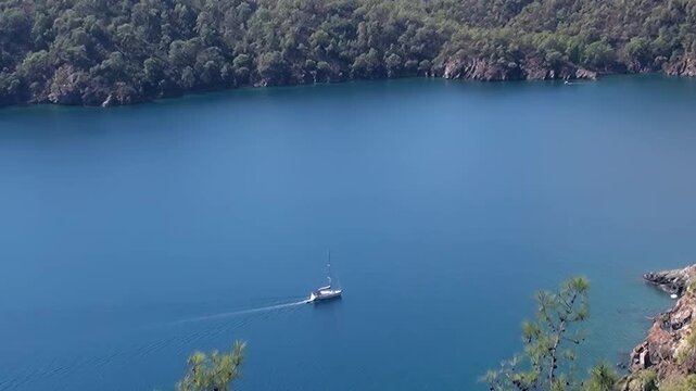 A picturesque boat glides across the vibrant blue waters of Oludeniz Bay in Turkey. Lush green forests line the rugged coastline, creating a stunning natural spectacle under the bright daytime sun.