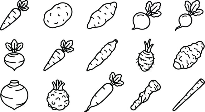 Set of Various Fresh Root Vegetable Icons in Line Style
