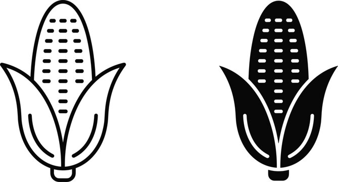 Fresh corn cob icon set featuring line art outline and solid black silhouette symbols isolated on white background (17 words)