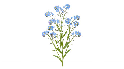 Obraz premium Blue forget-me-not flowers with green leaves on a light background