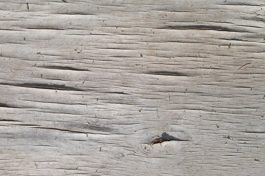 Background and texture of the wooden surface